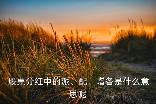  股票分紅中的派、配、增各是什么意思呢