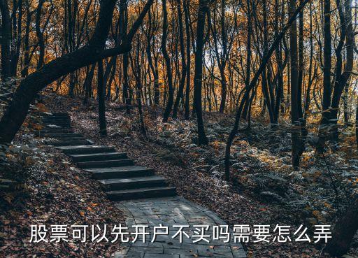  股票可以先開(kāi)戶(hù)不買(mǎi)嗎需要怎么弄