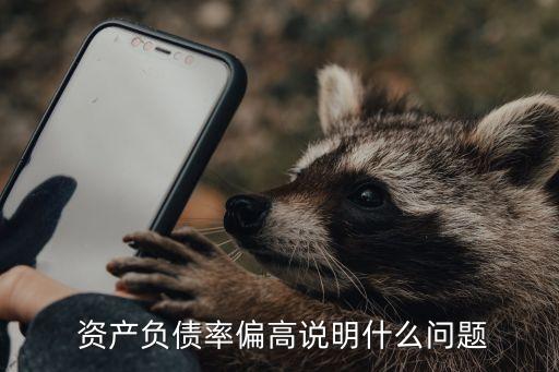  資產負債率偏高說明什么問題