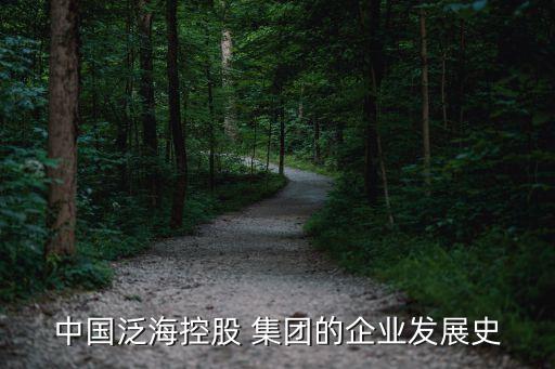 中國泛?？毓?集團的企業(yè)發(fā)展史