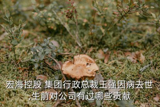 宏?？毓?集團行政總裁王強因病去世,生前對公司有過哪些貢獻