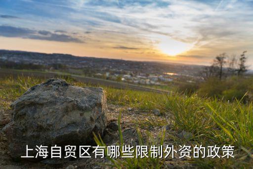 上海外商投資網,外商投資產業(yè)指導目錄
