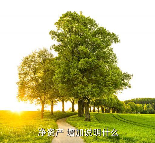 如何增加公司凈資產,如何把公司的凈資產做高