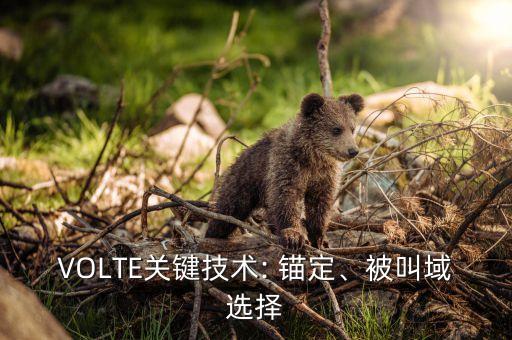 VOLTE關(guān)鍵技術(shù): 錨定、被叫域選擇