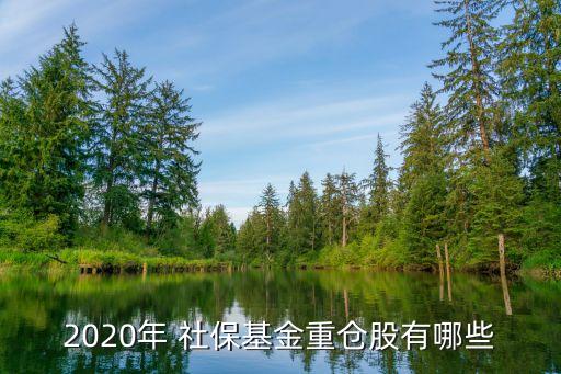 2020年 社?；鹬貍}股有哪些