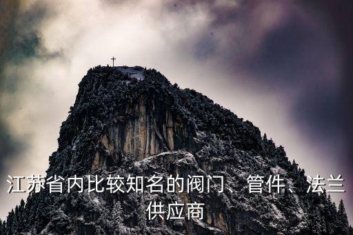 江蘇省內(nèi)比較知名的閥門(mén)、管件、法蘭供應(yīng)商