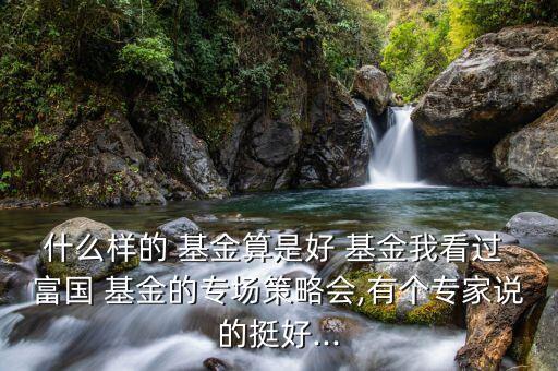 什么樣的 基金算是好 基金我看過 富國 基金的專場(chǎng)策略會(huì),有個(gè)專家說的挺好...