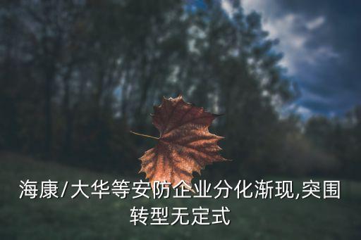 ?？?大華等安防企業(yè)分化漸現(xiàn),突圍轉(zhuǎn)型無定式