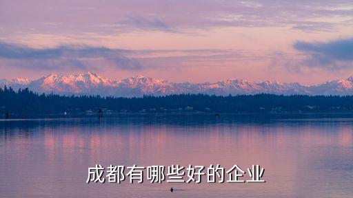 招商新能源控股有限公司,中電國(guó)際新能源控股有限公司