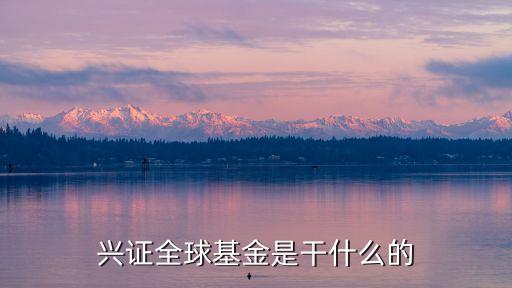 興全輕資產股票,什么叫輕資產股票