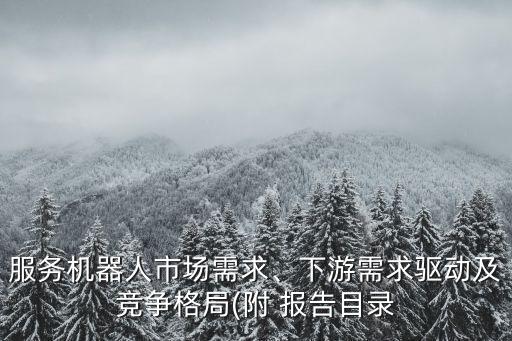服務(wù)機(jī)器人市場(chǎng)需求、下游需求驅(qū)動(dòng)及競(jìng)爭(zhēng)格局(附 報(bào)告目錄