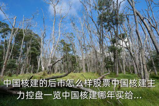 中國(guó)核建的后市怎么樣股票中國(guó)核建主力控盤(pán)一覽中國(guó)核建哪年買(mǎi)給...