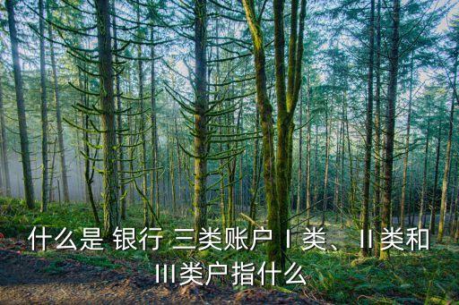 什么是 銀行 三類(lèi)賬戶(hù)Ⅰ類(lèi)、Ⅱ類(lèi)和Ⅲ類(lèi)戶(hù)指什么