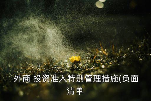  外商 投資準(zhǔn)入特別管理措施(負面清單