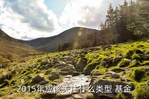 2015年應該關注什么類型 基金