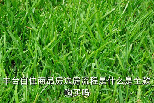 豐臺(tái)自住商品房選房流程是什么是全款購(gòu)買(mǎi)嗎