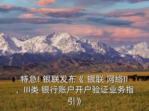特急! 銀聯(lián)發(fā)布《 銀聯(lián) 網(wǎng)絡(luò)II、III類 銀行賬戶開戶驗(yàn)證業(yè)務(wù)指引》