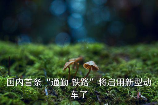 國(guó)內(nèi)首條“通勤 鐵路”將啟用新型動(dòng)車(chē)了
