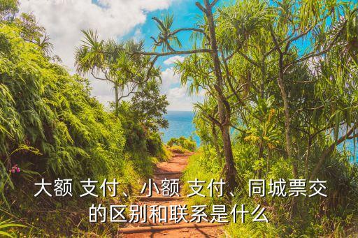 大額 支付、小額 支付、同城票交的區(qū)別和聯(lián)系是什么