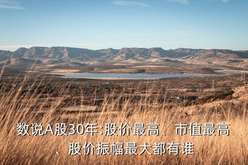 數(shù)說A股30年:股價最高、市值最高、股價振幅最大都有誰