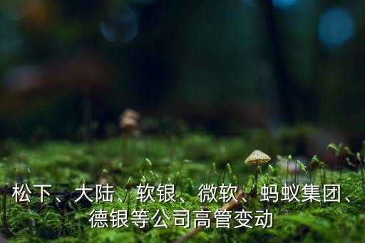 松下、大陸、軟銀、微軟、螞蟻集團(tuán)、德銀等公司高管變動