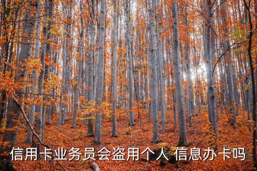信用卡業(yè)務員會盜用個人 信息辦卡嗎