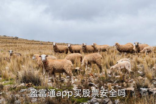 深圳市盈富行貿易有限公司,東莞市盈富汽車貿易有限公司