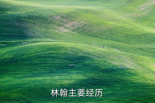 林翰主要經歷