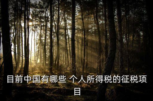 目前中國有哪些 個人所得稅的征稅項(xiàng)目
