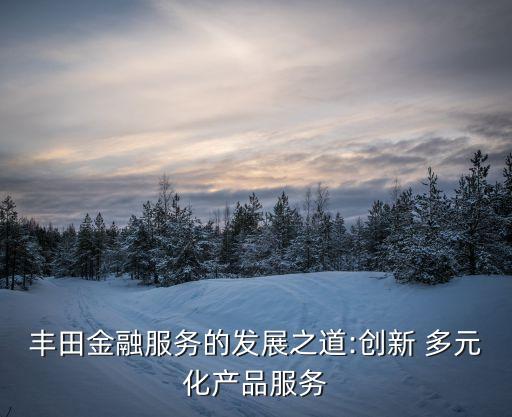 豐田金融服務的發(fā)展之道:創(chuàng)新 多元化產(chǎn)品服務