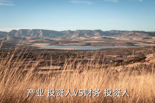  產(chǎn)業(yè) 投資人VS財務(wù) 投資人
