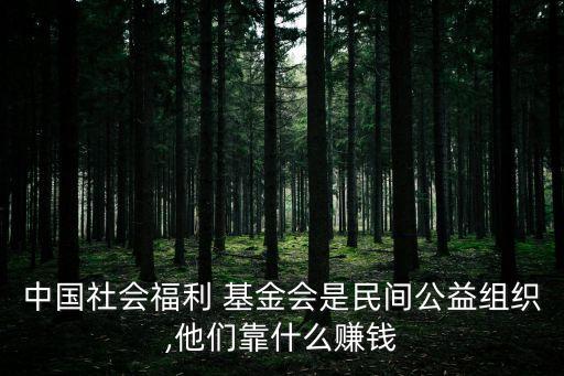 基金會(huì)如何盈利,老?；饡?huì)靠什么盈利
