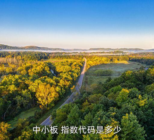 中小板 指數代碼是多少