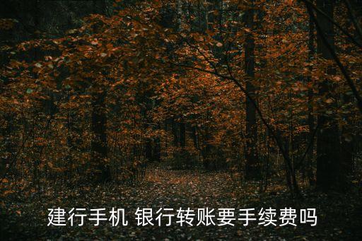  建行手機(jī) 銀行轉(zhuǎn)賬要手續(xù)費嗎