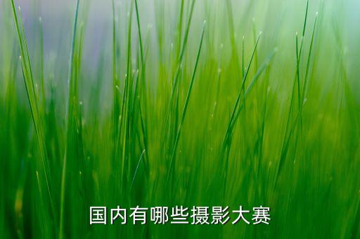 國內有哪些攝影大賽