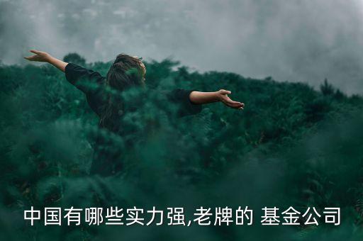 中國有哪些實力強(qiáng),老牌的 基金公司