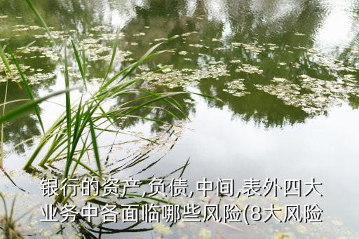 銀行的資產(chǎn),負債,中間,表外四大 業(yè)務(wù)中各面臨哪些風險(8大風險