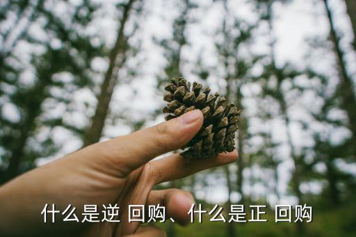 什么是逆 回購、什么是正 回購
