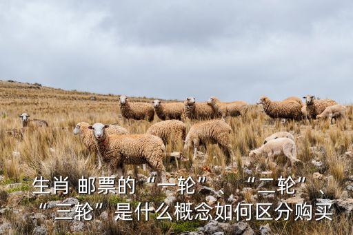  生肖 郵票的“一輪”、“二輪”、“ 三輪”是什么概念如何區(qū)分購買
