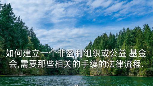 如何建立一個(gè)非盈利組織或公益 基金會,需要那些相關(guān)的手續(xù)的法律流程...