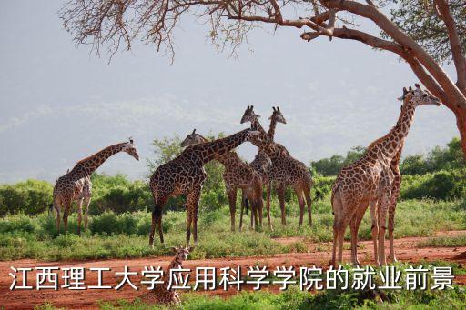 江西理工大學應用科學學院的就業(yè)前景
