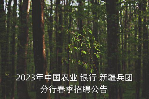 2023年中國農(nóng)業(yè) 銀行 新疆兵團(tuán)分行春季招聘公告