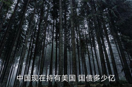 中國現在持有美國 國債多少億