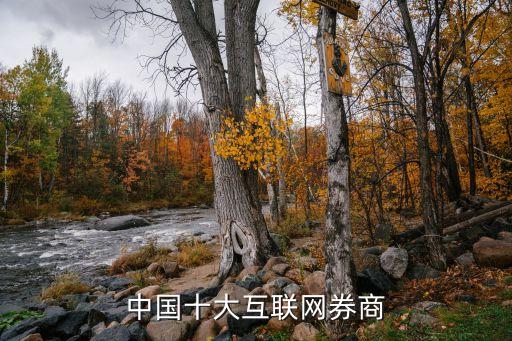 中國(guó)十大互聯(lián)網(wǎng)券商
