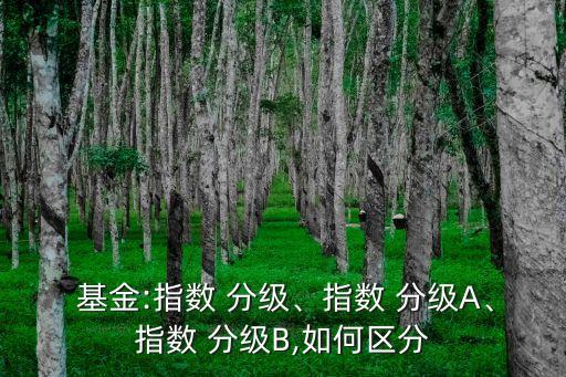  基金:指數(shù) 分級、指數(shù) 分級A、指數(shù) 分級B,如何區(qū)分