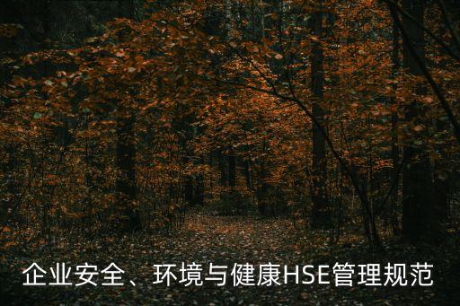 企業(yè)安全、環(huán)境與健康HSE管理規(guī)范