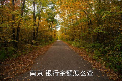 南京銀行在線(xiàn)咨詢(xún)
