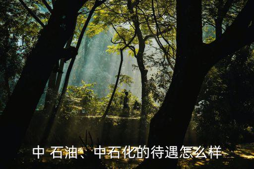 中 石油、中石化的待遇怎么樣