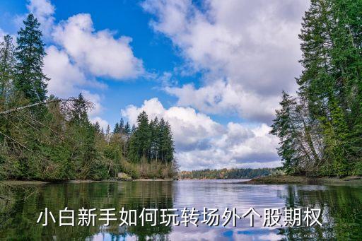 小白新手如何玩轉場外個股期權