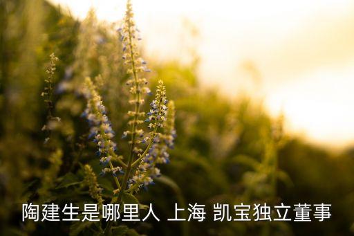 陶建生是哪里人 上海 凱寶獨立董事